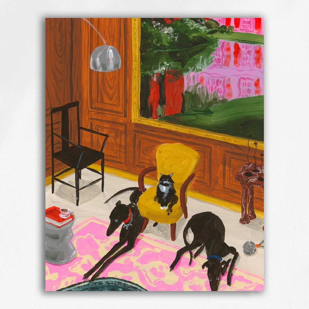 Cats & Greyhounds Indoors