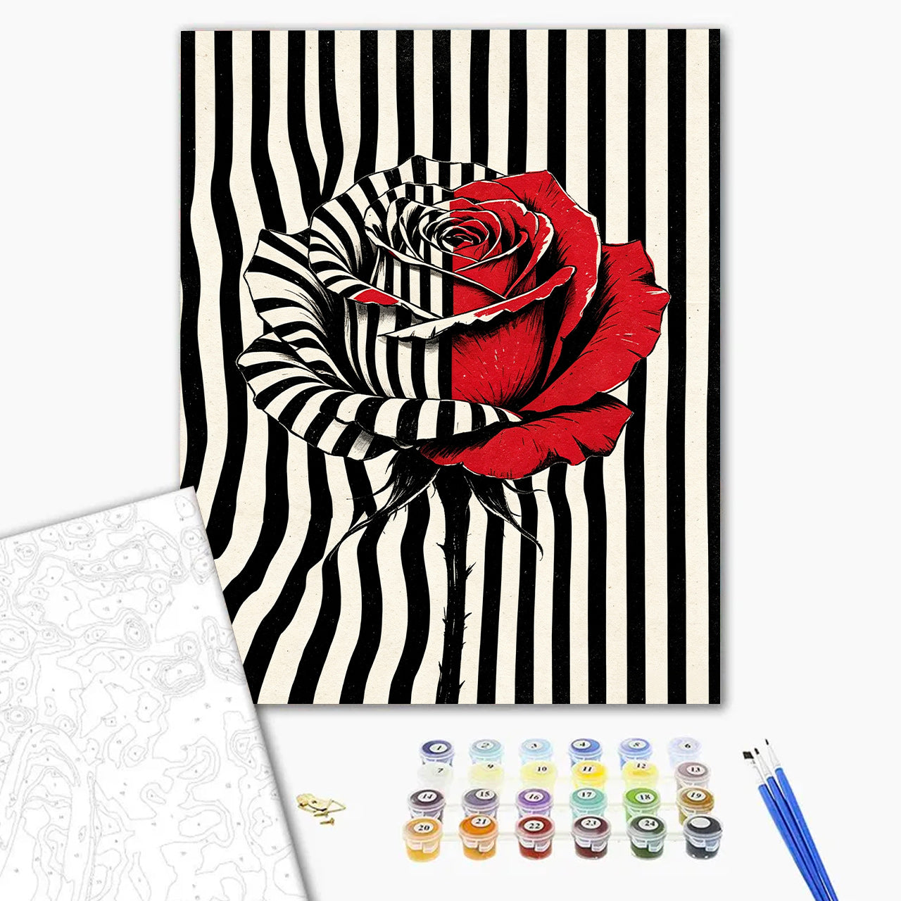 Half-Stripe Rose