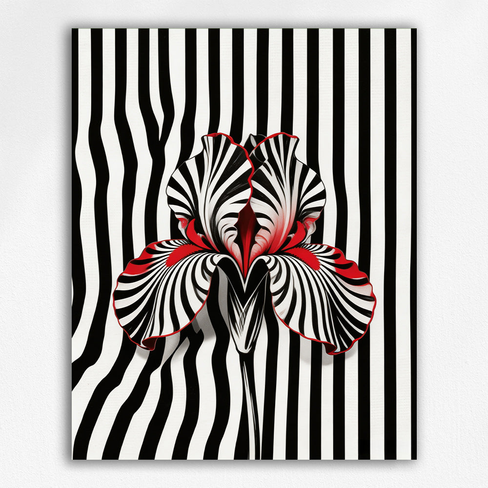 Striped Scarlet Iris