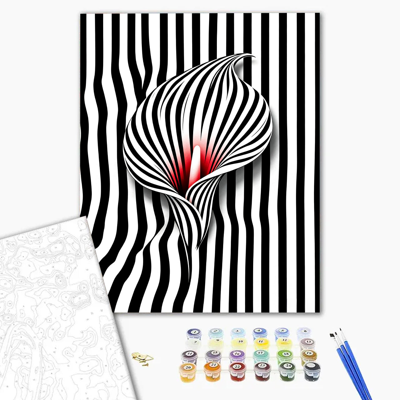 Striped Calla Lily