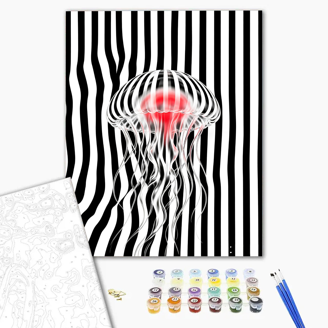 Striped Jellyfish