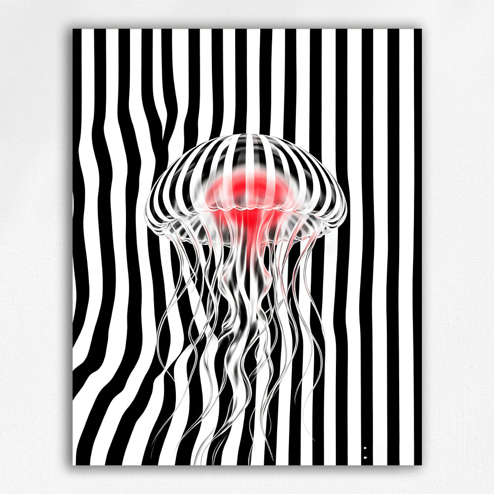 Striped Jellyfish