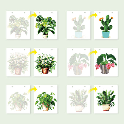 2027Plant Series - Calendar