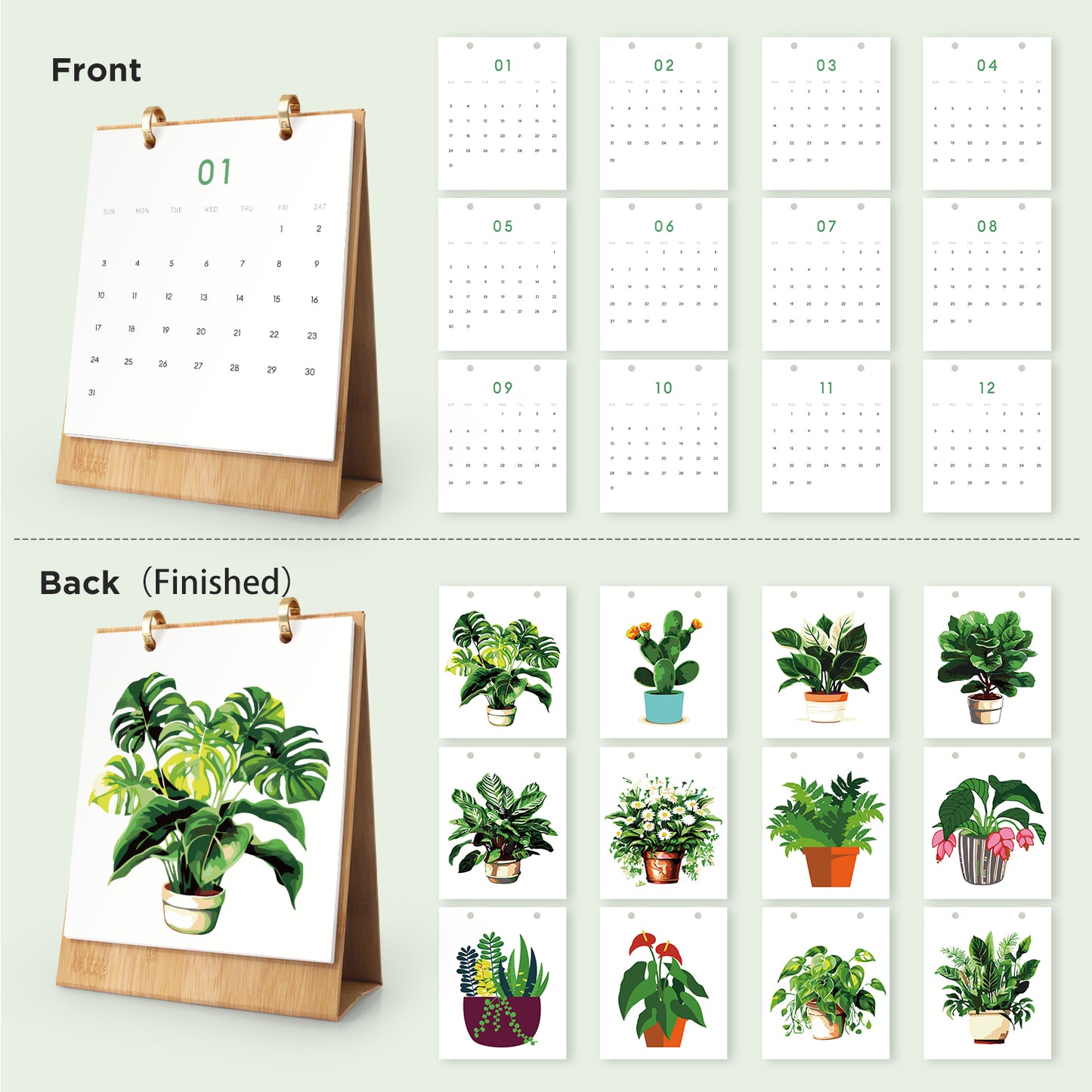2027Plant Series - Calendar