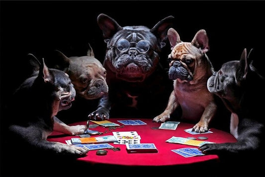 Bulldog's Gamble - Paint by Numbers Kits