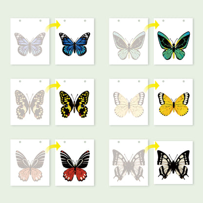 Butterfly -Calendar