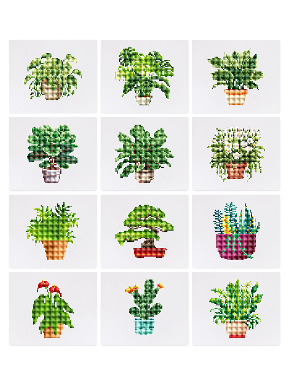 Houseplants Edition by Maikoo Art