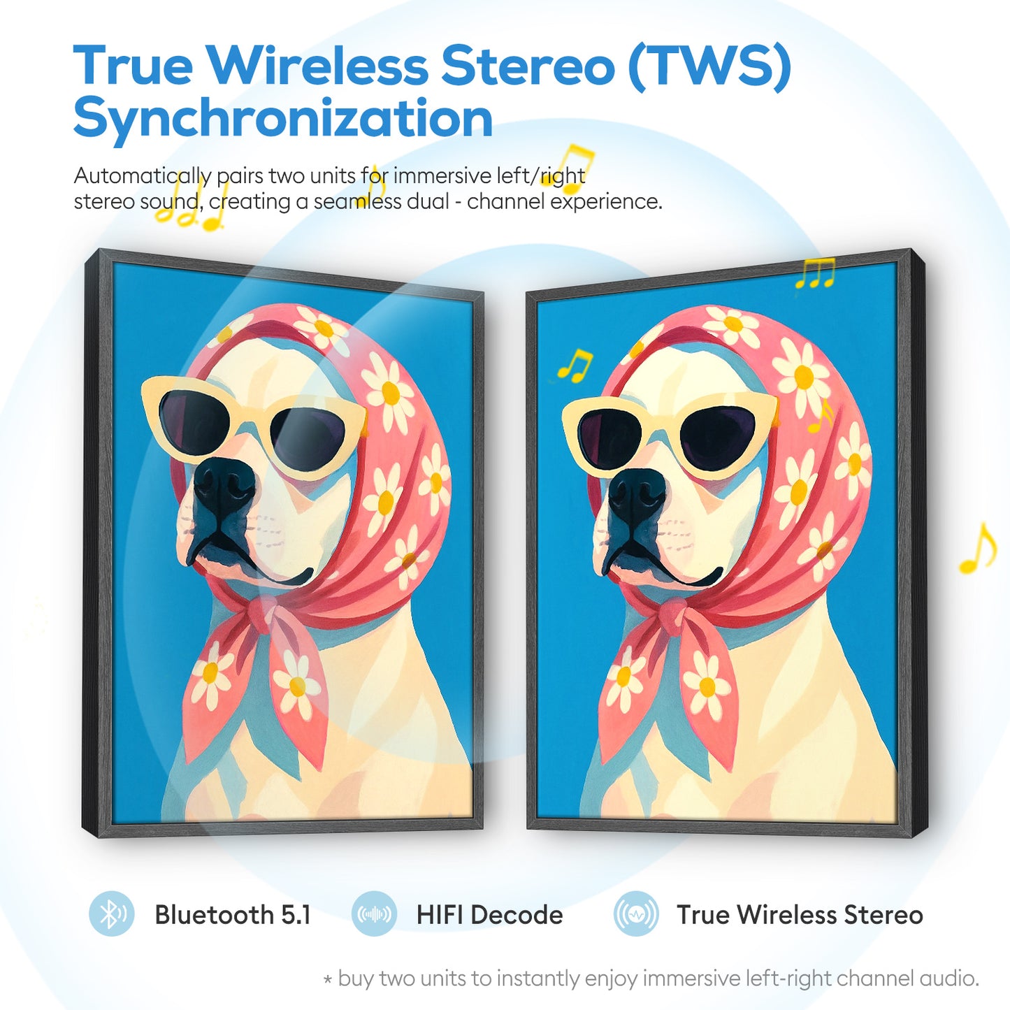 PBN Speaker - Cool Dog