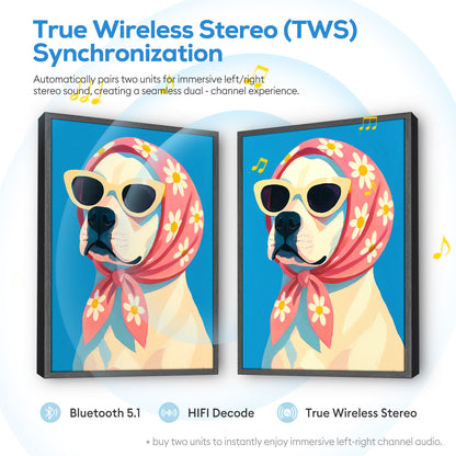 PBN Speaker - Cool Dog