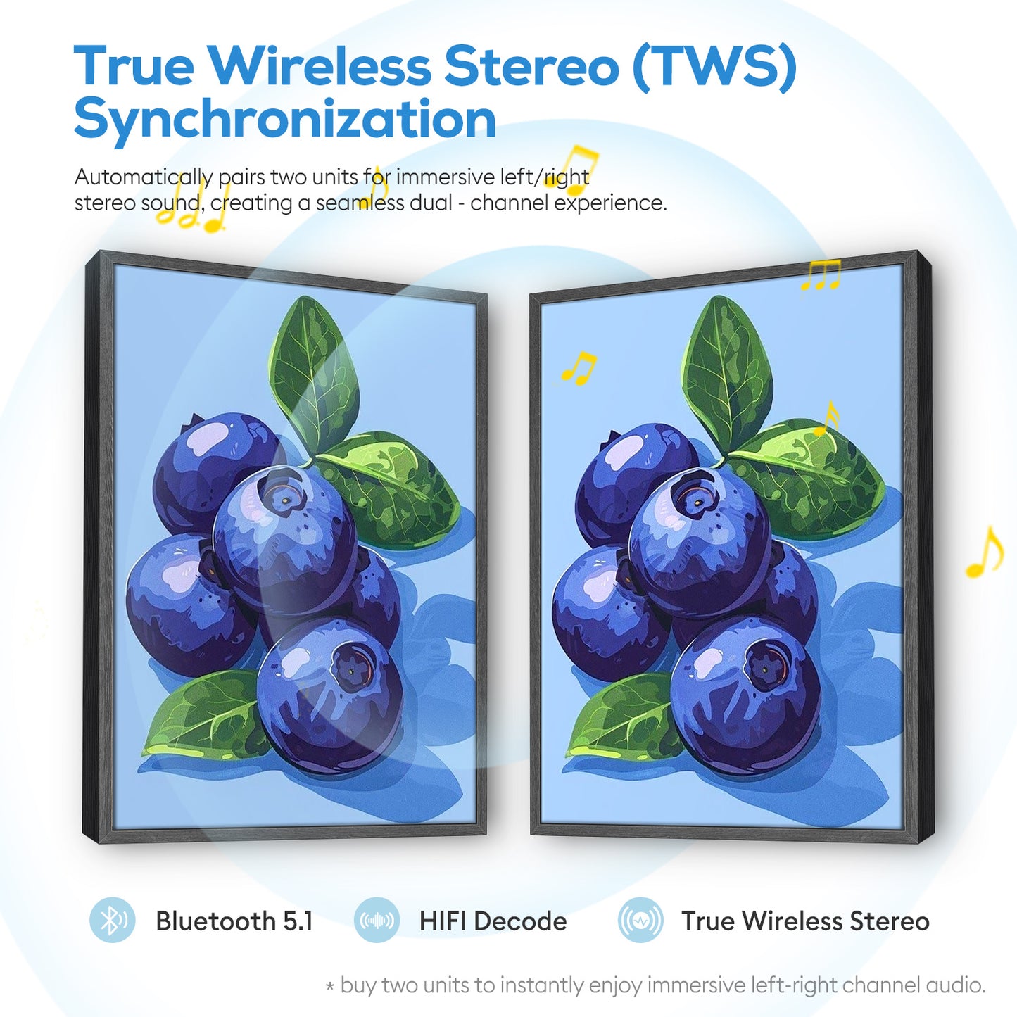 PBN Speaker - blueberry