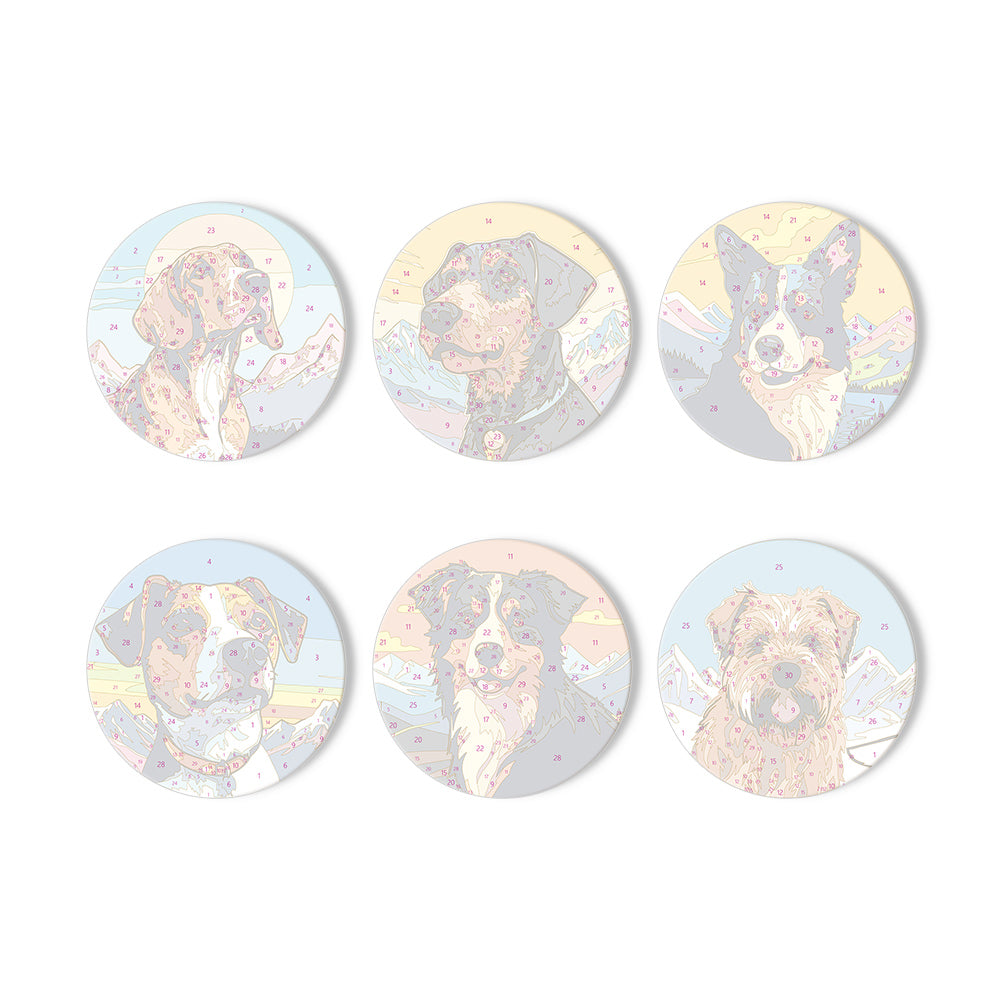 Paint by Numbers Coasters #12
