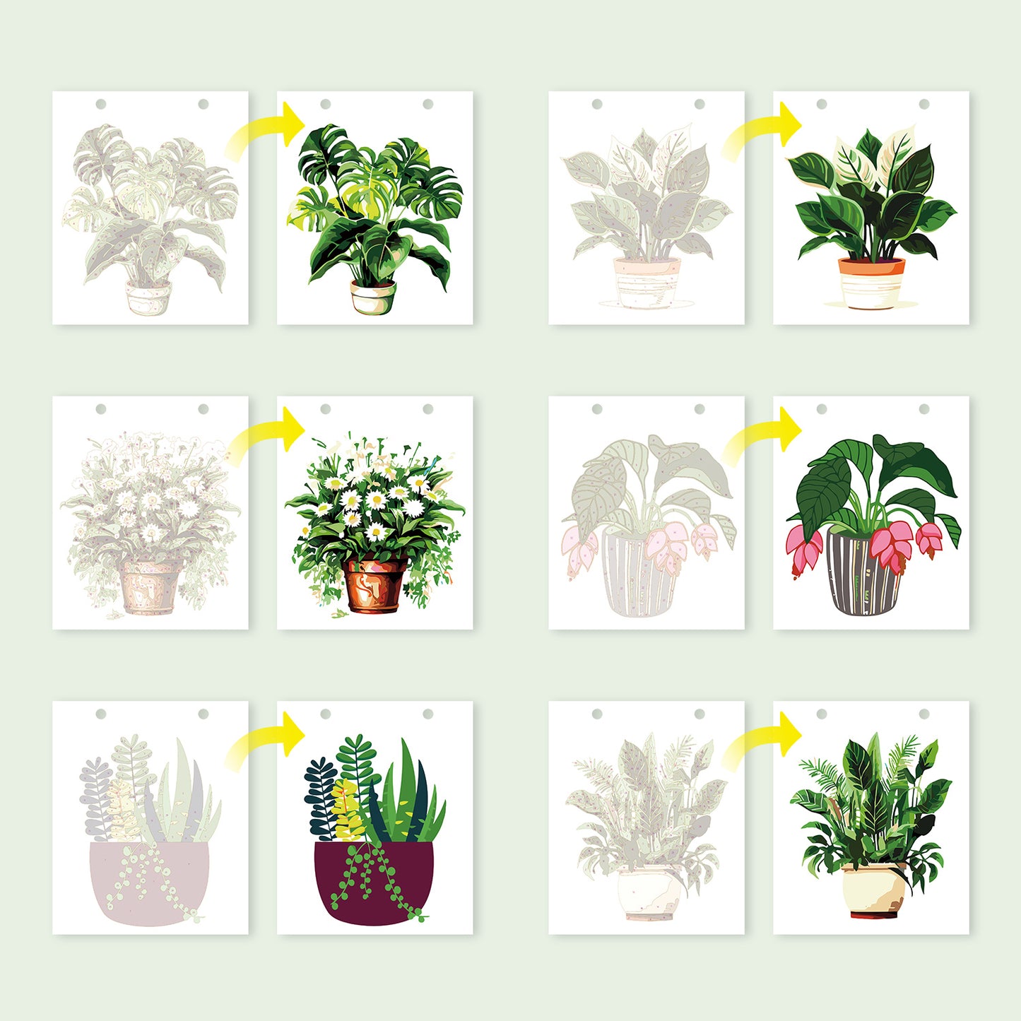 Plant Series - Calendar
