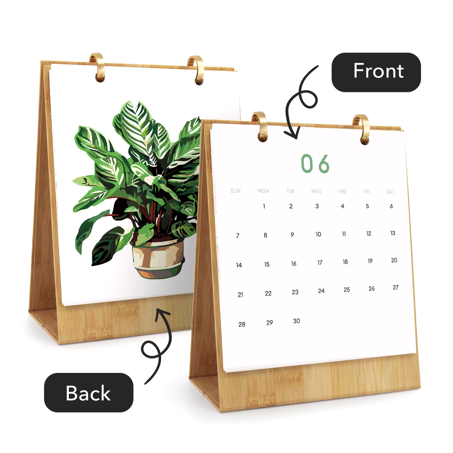 Plant Series - Calendar