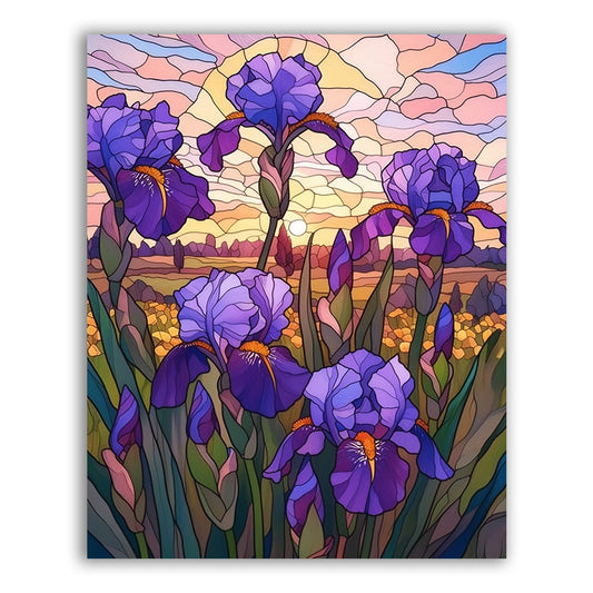 Sunset Iris - Paint by Numbers Kits